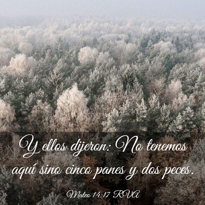 Picture 03 - Mateo 14:17 RVA - Y ellos dijeron: No tenemos aquí sino cinco - Bible Verse Picture