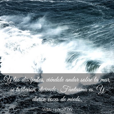 Picture 03 - Mateo 14:26 RVA - Y los discípulos, viéndole andar sobre la mar, - Bible Verse Picture