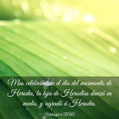 Picture 03 - Mateo 14:6 RVA - Mas celebrándose el día del nacimiento de - Bible Verse Picture