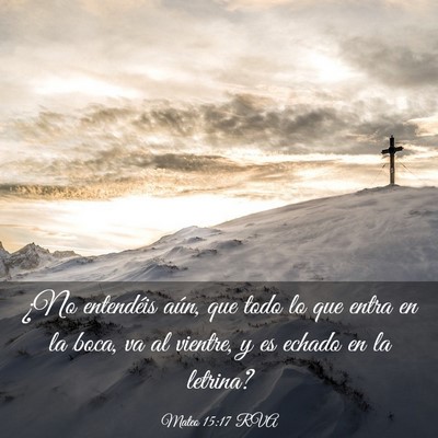 Picture 03 - Mateo 15:17 RVA - ¿No entendéis aún, que todo lo que entra en la - Bible Verse Picture