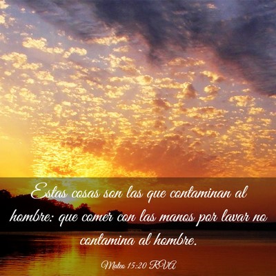 Picture 03 - Mateo 15:20 RVA - Estas cosas son las que contaminan al hombre: que - Bible Verse Picture