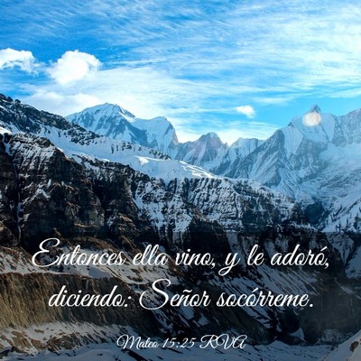 Picture 03 - Mateo 15:25 RVA - Entonces ella vino, y le adoró, diciendo: Señor - Bible Verse Picture