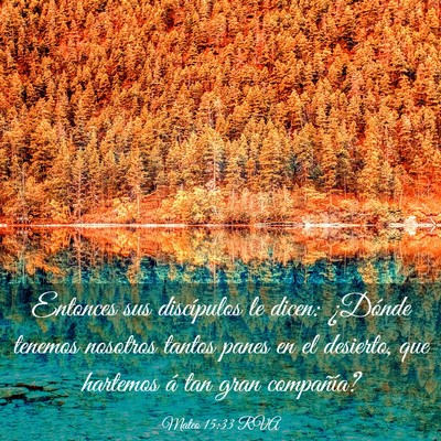 Picture 03 - Mateo 15:33 RVA - Entonces sus discípulos le dicen: ¿Dónde - Bible Verse Picture