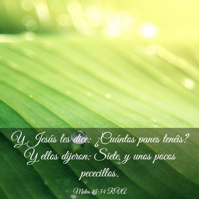 Picture 03 - Mateo 15:34 RVA - Y Jesús les dice: ¿Cuántos panes tenéis? Y - Bible Verse Picture
