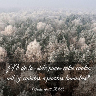 Picture 03 - Mateo 16:10 RVA - ¿Ni de los siete panes entre cuatro mil, y - Bible Verse Picture