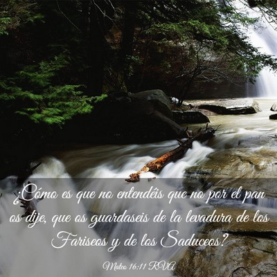 Picture 03 - Mateo 16:11 RVA - ¿Cómo es que no entendéis que no por el pan os - Bible Verse Picture