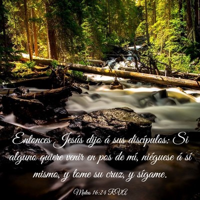 Picture 03 - Mateo 16:24 RVA - Entonces Jesús dijo á sus discípulos: Si - Bible Verse Picture
