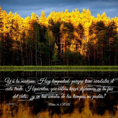 Picture 03 - Mateo 16:3 RVA - Y á la mañana: Hoy tempestad; porque tiene - Bible Verse Picture