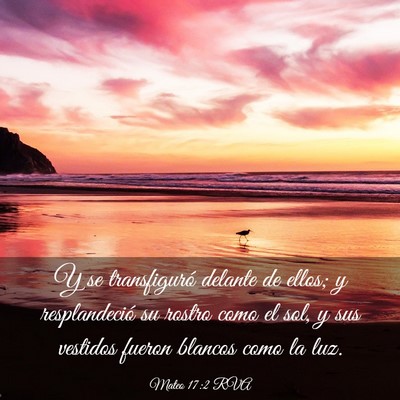 Picture 03 - Mateo 17:2 RVA - Y se transfiguró delante de ellos; y - Bible Verse Picture