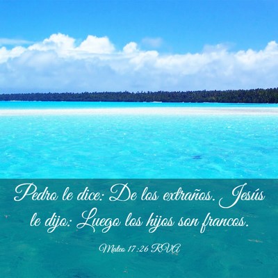 Picture 03 - Mateo 17:26 RVA - Pedro le dice: De los extraños. Jesús le dijo: - Bible Verse Picture
