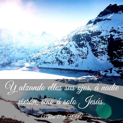 Picture 03 - Mateo 17:8 RVA - Y alzando ellos sus ojos, á nadie vieron, sino - Bible Verse Picture