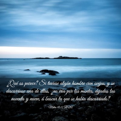 Picture 03 - Mateo 18:12 RVA - ¿Qué os parece? Si tuviese algún hombre cien - Bible Verse Picture