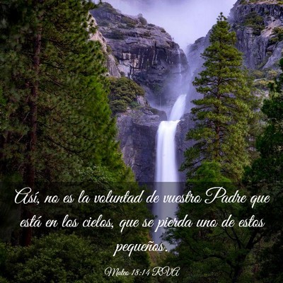 Picture 03 - Mateo 18:14 RVA - Así, no es la voluntad de vuestro Padre que - Bible Verse Picture