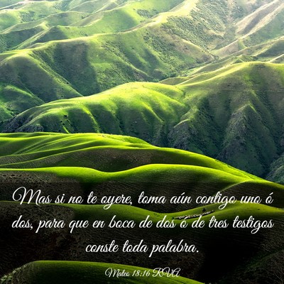 Picture 03 - Mateo 18:16 RVA - Mas si no te oyere, toma aún contigo uno ó dos, - Bible Verse Picture