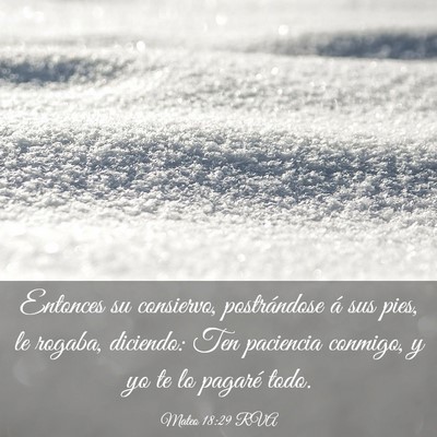 Picture 03 - Mateo 18:29 RVA - Entonces su consiervo, postrándose á sus pies, - Bible Verse Picture