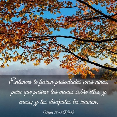 Picture 03 - Mateo 19:13 RVA - Entonces le fueron presentados unos niños, para - Bible Verse Picture