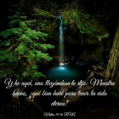 Picture 03 - Mateo 19:16 RVA - Y he aquí, uno llegándose le dijo: Maestro - Bible Verse Picture