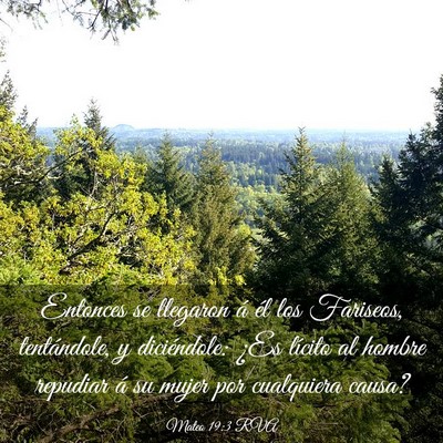 Picture 03 - Mateo 19:3 RVA - Entonces se llegaron á él los Fariseos, - Bible Verse Picture