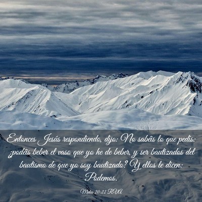 Picture 03 - Mateo 20:22 RVA - Entonces Jesús respondiendo, dijo: No sabéis lo - Bible Verse Picture