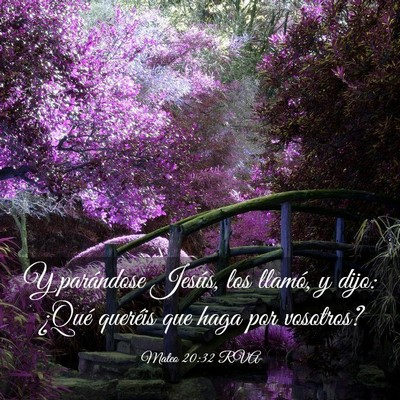 Picture 03 - Mateo 20:32 RVA - Y parándose Jesús, los llamó, y dijo: ¿Qué - Bible Verse Picture