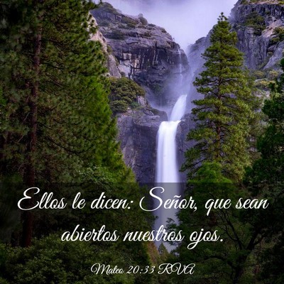 Picture 03 - Mateo 20:33 RVA - Ellos le dicen: Señor, que sean abiertos - Bible Verse Picture