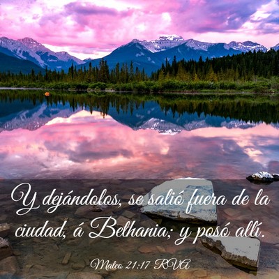Picture 03 - Mateo 21:17 RVA - Y dejándolos, se salió fuera de la ciudad, á - Bible Verse Picture