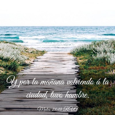 Picture 03 - Mateo 21:18 RVA - Y por la mañana volviendo á la ciudad, tuvo - Bible Verse Picture