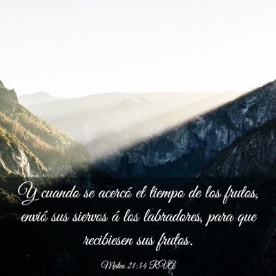Picture 03 - Mateo 21:34 RVA - Y cuando se acercó el tiempo de los frutos, - Bible Verse Picture