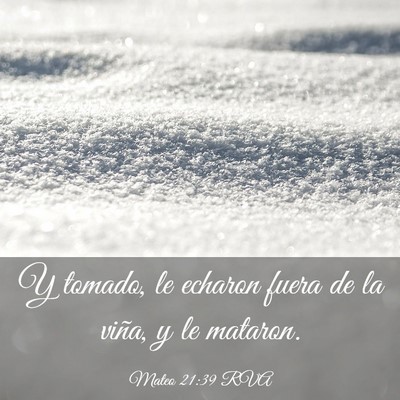 Picture 03 - Mateo 21:39 RVA - Y tomado, le echaron fuera de la viña, y le - Bible Verse Picture