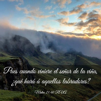 Picture 03 - Mateo 21:40 RVA - Pues cuando viniere el señor de la viña, ¿qué - Bible Verse Picture