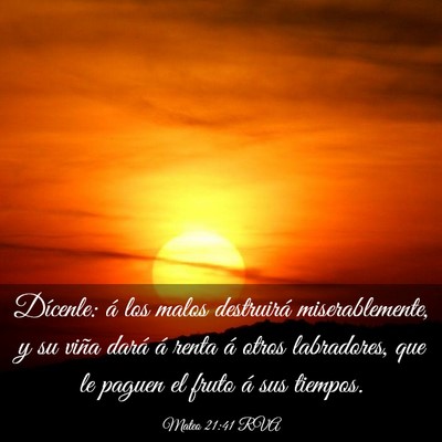 Picture 03 - Mateo 21:41 RVA - Dícenle: á los malos destruirá miserablemente, - Bible Verse Picture