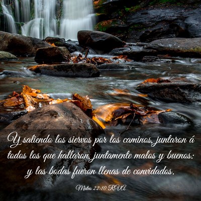 Picture 03 - Mateo 22:10 RVA - Y saliendo los siervos por los caminos, juntaron - Bible Verse Picture