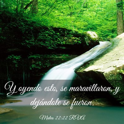 Picture 03 - Mateo 22:22 RVA - Y oyendo esto, se maravillaron, y dejándole se - Bible Verse Picture