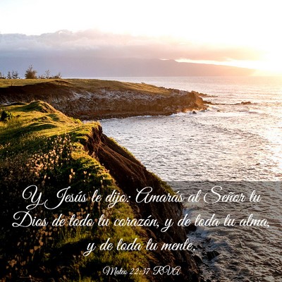 Picture 03 - Mateo 22:37 RVA - Y Jesús le dijo: Amarás al Señor tu Dios de - Bible Verse Picture