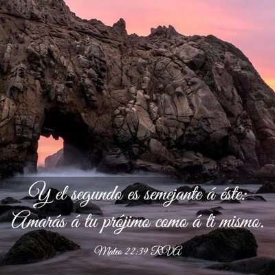 Picture 03 - Mateo 22:39 RVA - Y el segundo es semejante á éste: Amarás á tu - Bible Verse Picture