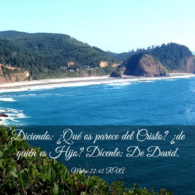 Picture 03 - Mateo 22:42 RVA - Diciendo: ¿Qué os parece del Cristo? ¿de - Bible Verse Picture