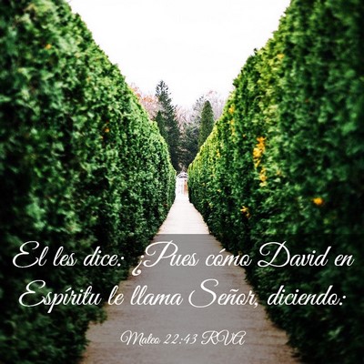 Picture 03 - Mateo 22:43 RVA - El les dice: ¿Pues cómo David en Espíritu le - Bible Verse Picture