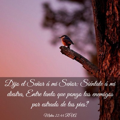 Picture 03 - Mateo 22:44 RVA - Dijo el Señor á mi Señor: Siéntate á mi - Bible Verse Picture