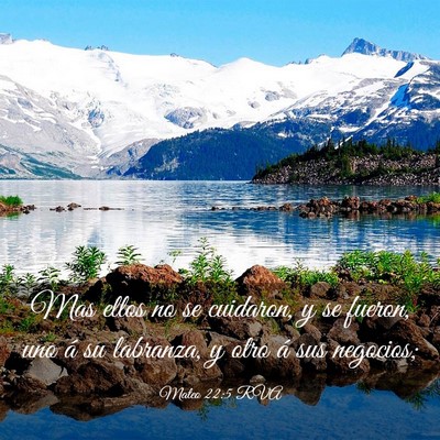 Picture 03 - Mateo 22:5 RVA - Mas ellos no se cuidaron, y se fueron, uno á su - Bible Verse Picture