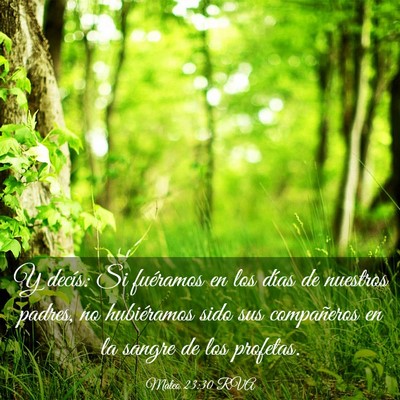 Picture 03 - Mateo 23:30 RVA - Y decís: Si fuéramos en los días de nuestros - Bible Verse Picture