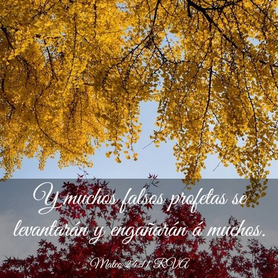 Picture 03 - Mateo 24:11 RVA - Y muchos falsos profetas se levantarán y - Bible Verse Picture