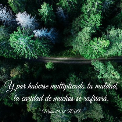 Picture 03 - Mateo 24:12 RVA - Y por haberse multiplicado la maldad, la caridad - Bible Verse Picture