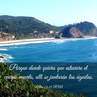 Picture 03 - Mateo 24:28 RVA - Porque donde quiera que estuviere el cuerpo - Bible Verse Picture