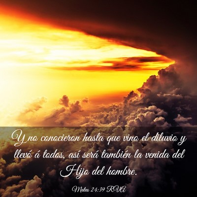 Picture 03 - Mateo 24:39 RVA - Y no conocieron hasta que vino el diluvio y - Bible Verse Picture