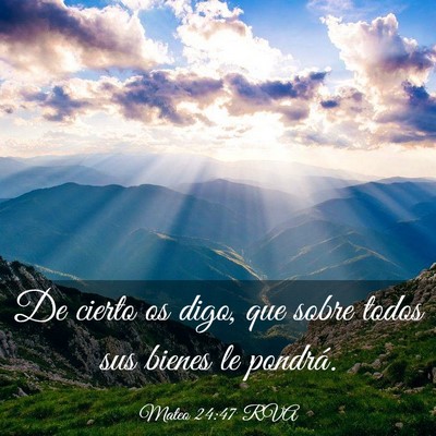 Picture 03 - Mateo 24:47 RVA - De cierto os digo, que sobre todos sus bienes le - Bible Verse Picture