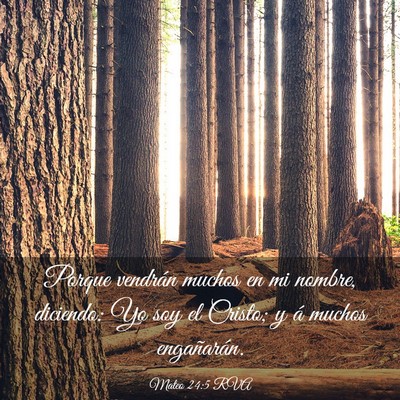 Picture 03 - Mateo 24:5 RVA - Porque vendrán muchos en mi nombre, diciendo: Yo - Bible Verse Picture