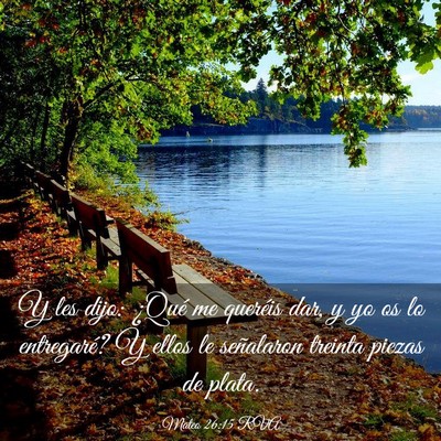 Picture 03 - Mateo 26:15 RVA - Y les dijo: ¿Qué me queréis dar, y yo os lo - Bible Verse Picture