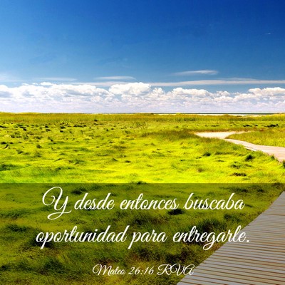 Picture 03 - Mateo 26:16 RVA - Y desde entonces buscaba oportunidad para - Bible Verse Picture