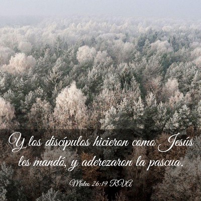 Picture 03 - Mateo 26:19 RVA - Y los discípulos hicieron como Jesús les - Bible Verse Picture