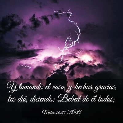 Picture 03 - Mateo 26:27 RVA - Y tomando el vaso, y hechas gracias, les dió, - Bible Verse Picture